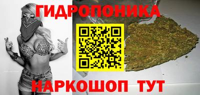 прущие крисы Донской